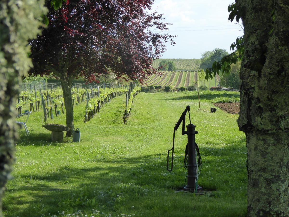 La Vigneraie De Laura: Gite Entre Vignes Et Chenes Sainte-Colombe  Экстерьер фото